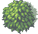 Vegetation.png